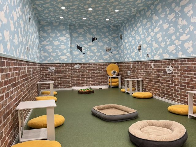 マイクロブタカフェ【豚小屋】