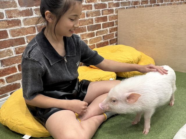 マイクロブタカフェ【豚小屋】
