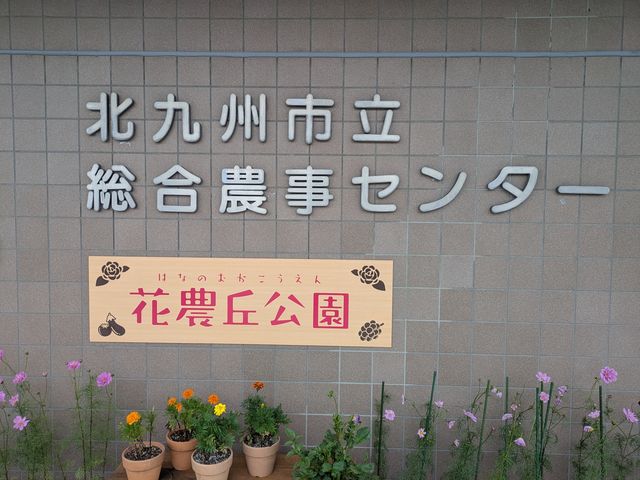 花農丘公園 いやしの風