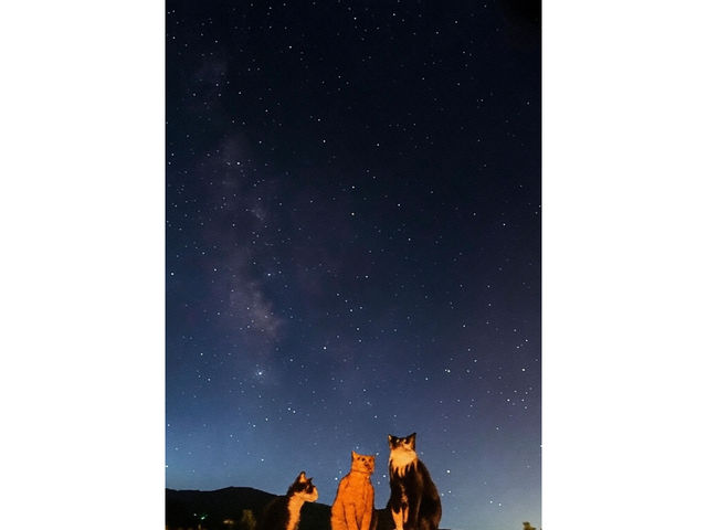 ツアーの最後には今夜見えた星空とお客様の記念撮影をさせて頂きます!_FUJI STAR TOURS