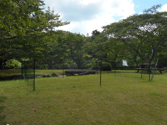 ドックラン_稲ヶ崎キャンプ場