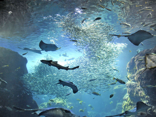 リザーブドクルーズ湘南