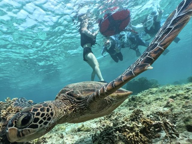 おきなわ自然で遊び隊の写真1