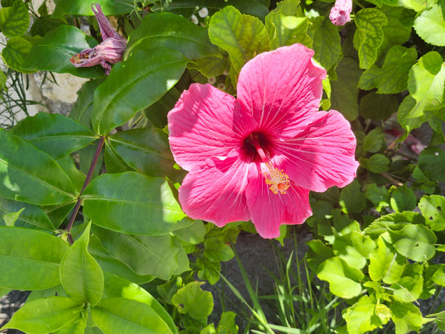 discovery okinawa