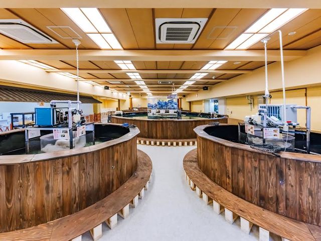 魚種により釣り場はいろいろ選べます。_釣り堀王国ホテル三日月店