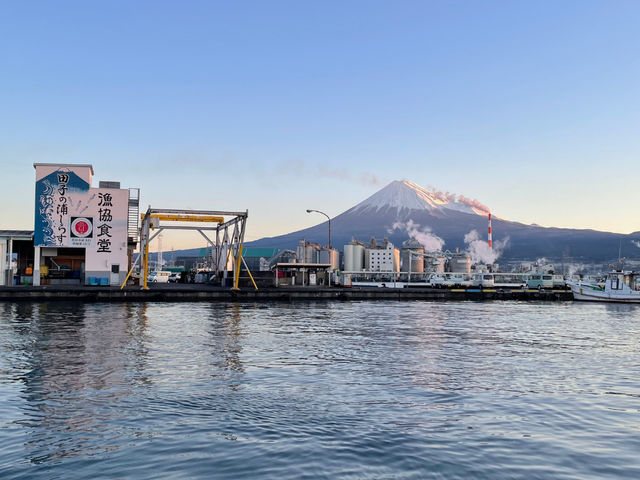 田子の浦港 x 富士山_Minamo Cruising