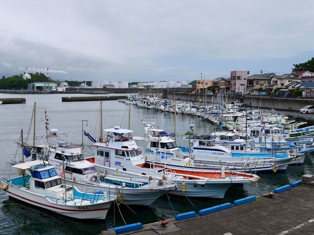 田子の浦港_Minamo Cruising