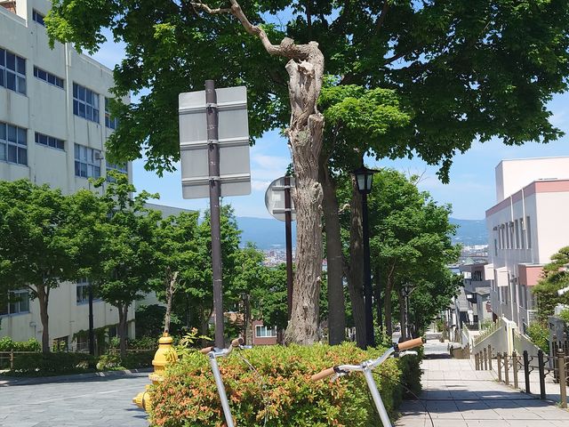 SSレンタルサポート