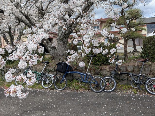 Local Treasures(ローカルトレジャーズ)