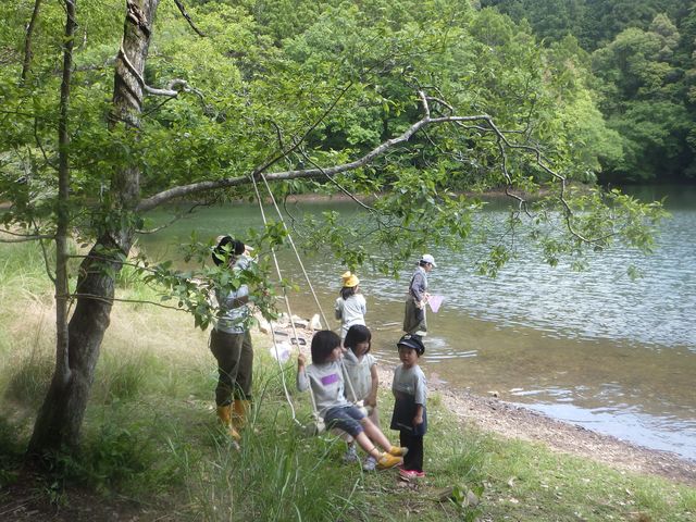 小さな子どもたちを対象とした森のようちえん活動も行っています。_NPO法人大杉谷自然学校