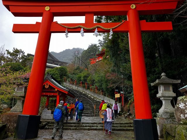 熊野古道巡礼旅など、地域の歴史や文化を体験するプログラムも実施しています。_NPO法人大杉谷自然学校
