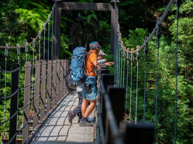 ヤクスギランドの森を散策_あしたの山道