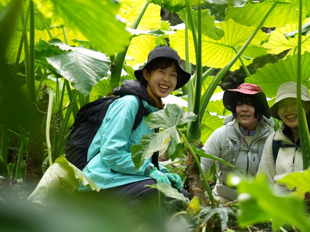 ジャングルの様な森を探検_あしたの山道