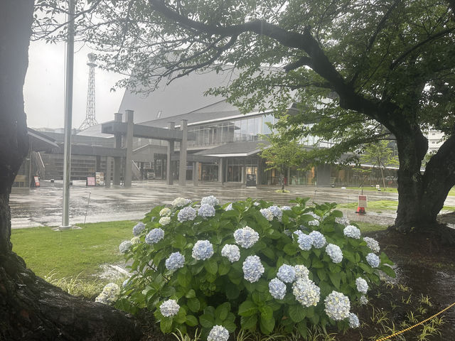 外観_三の丸ホール・アンフィニシアター小田原