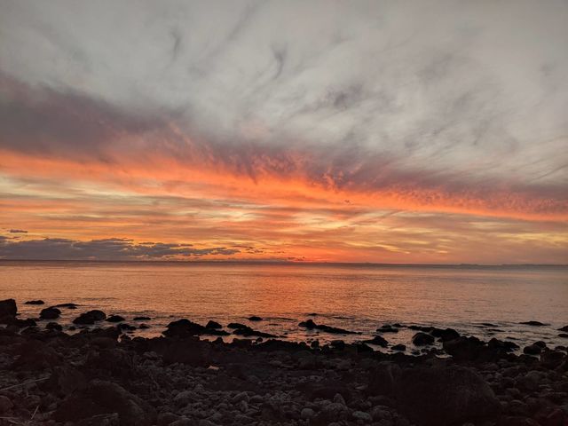 室戸羽根地区の海岸沿い。美しい景色に心も身体も癒される。_おうち宿しだお