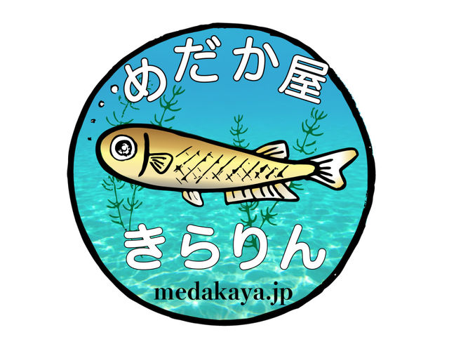 めだか屋きらりん