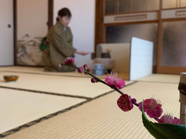 いしない茶道教室
