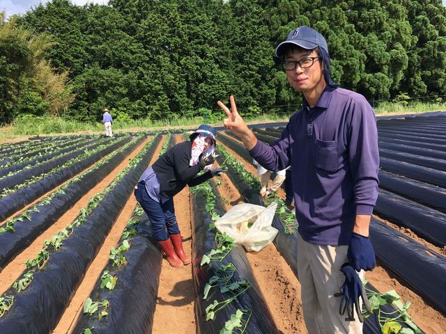 西山きんとき植えてます!_細松芋畑