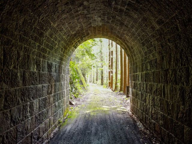 オオムカエ隧道(おおむかえずいどう)_日本遺産中芸ゆずと森林鉄道ガイド会