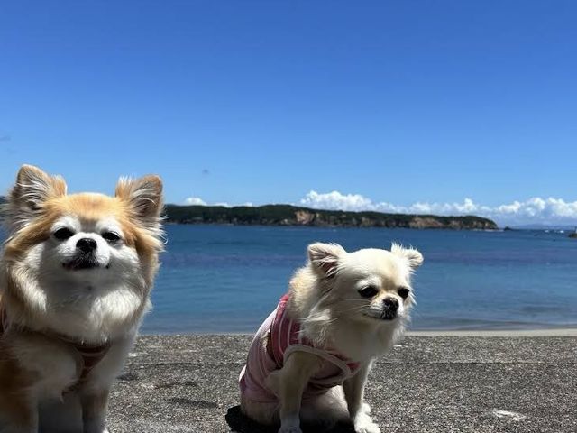 浦ノ浜
