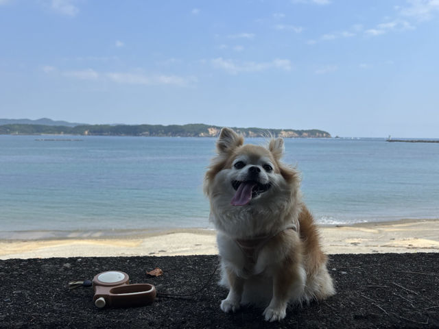 浦ノ浜