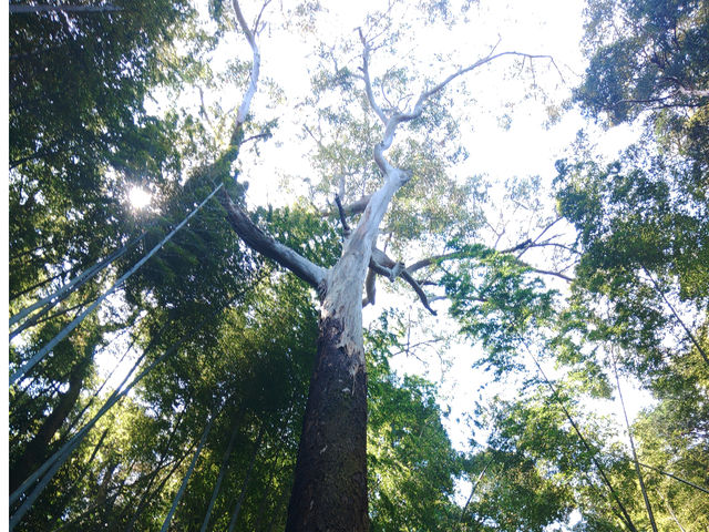 中山造園