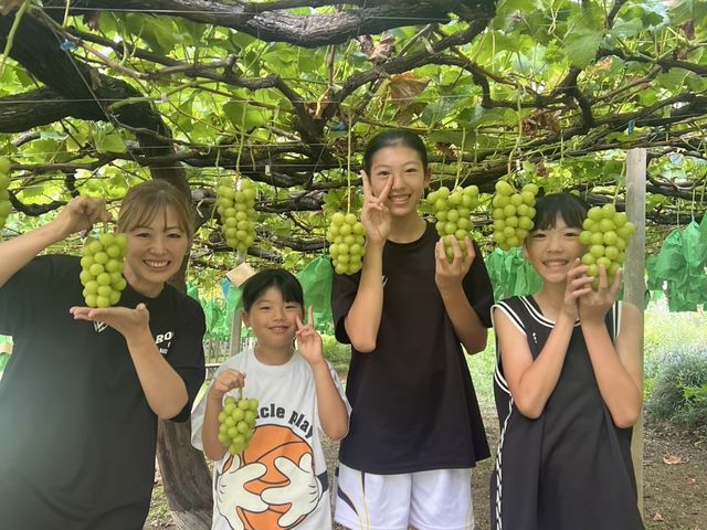 yfarm