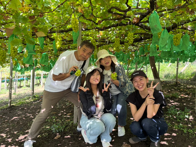 yfarm