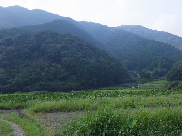 日南・大平集落活動センターひなたぼっこ