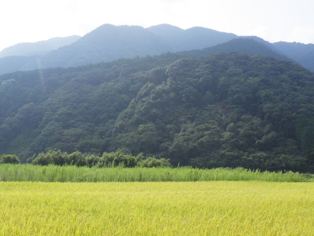 日南・大平集落活動センターひなたぼっこ