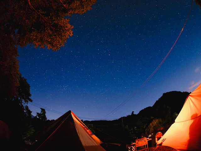 天然のプラネタリウム_koniwa CAMP 天城湯ヶ島