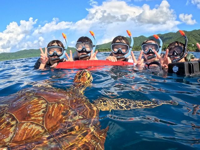しまじかんの写真1