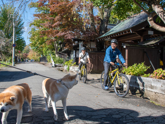 秋田犬に出会えるかも_Akita Inaka Travel