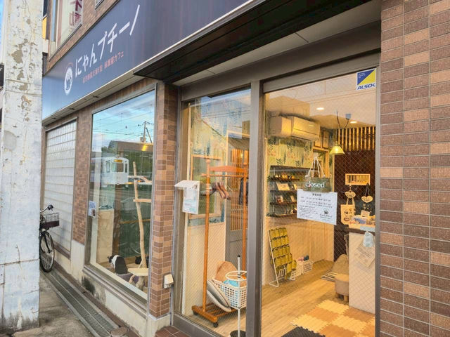 保護猫カフェ にゃんプチーノの写真1