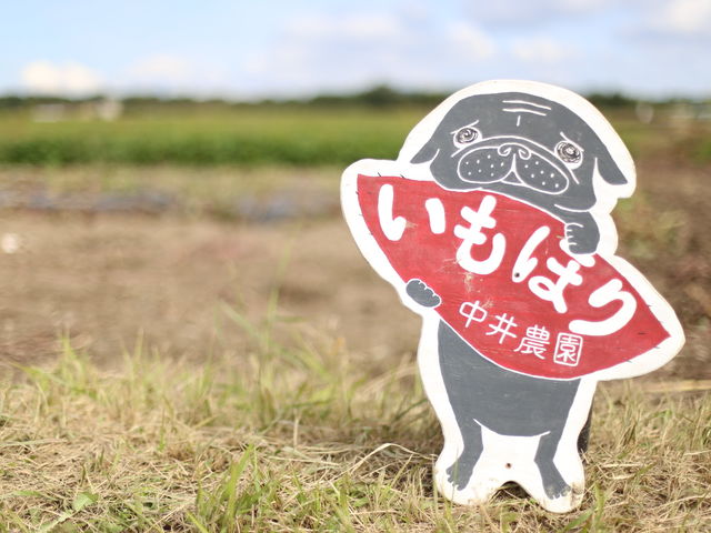 中井農園の写真1