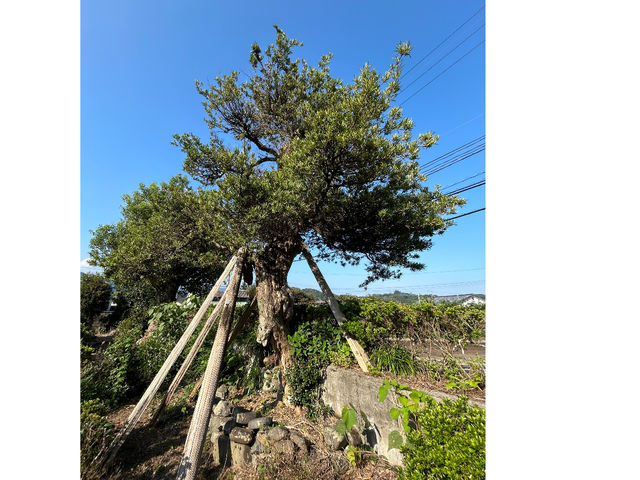 八衛門窯