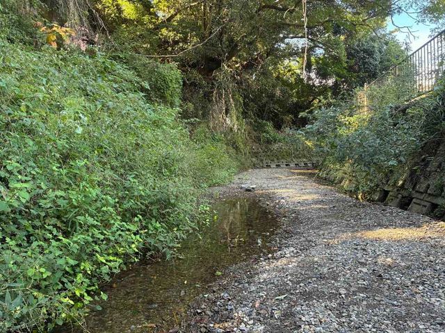 <体験施設紹介>
木陰が心地よい小さなせせらぎ。夏場には子どもたちの川遊びスポットとしても人気です。_苺屋 いちかわ農園
