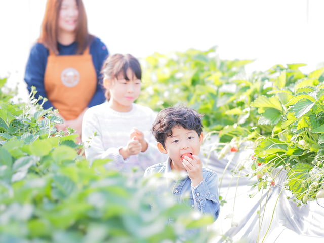 やちまた 里山ファームの写真1