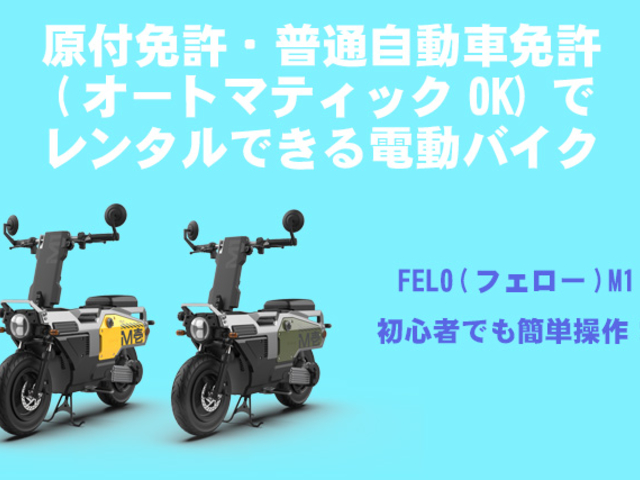 原付・普通自動車免許で運転可能_ZONE