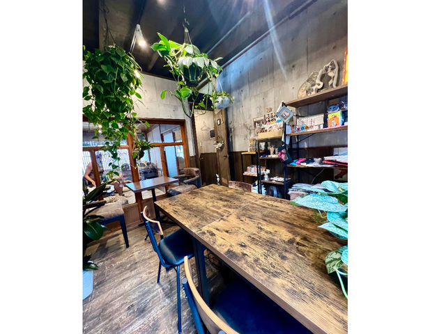 保護猫カフェ neu。