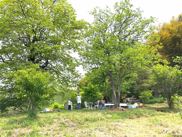 Oak Farmの写真1