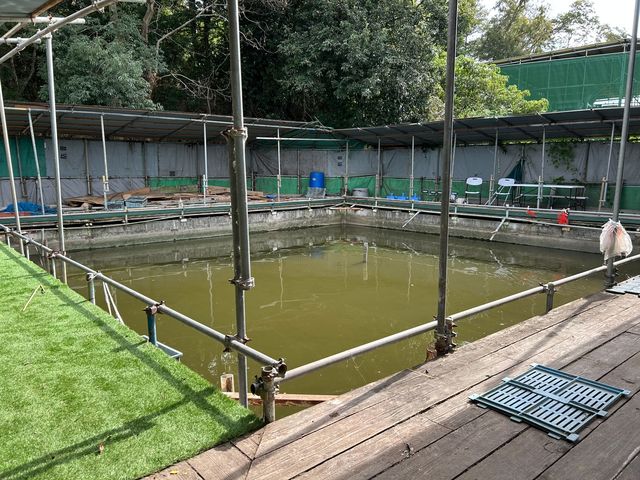 すっぽん釣り堀