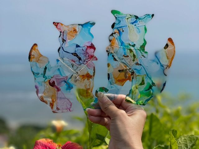 ウミノホウセキの写真1
