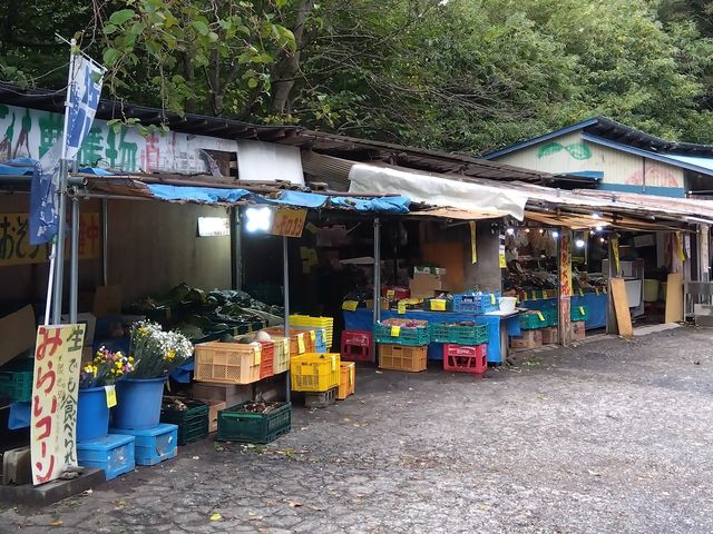 あおぞら市カトー青果