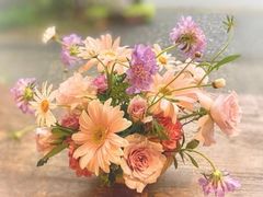 花と風との写真1