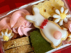 Daisy Gardenの写真1