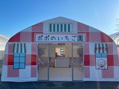 ポポのいちご園の写真1