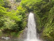 キャニオンズ草津の写真3