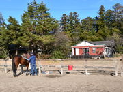 ノーマ・ホースヴィレッジの写真2