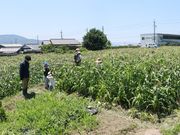 紀の川流域カンパニーの写真2